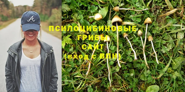 соль курить ск Балабаново