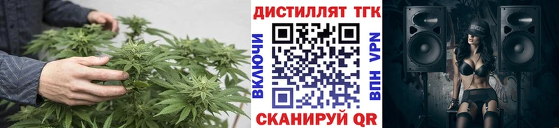 Дистиллят ТГК THC oil  Магас 